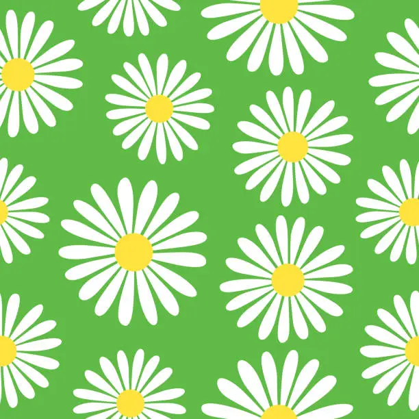 Vector illustration of Big White Daisies Seamless Pattern