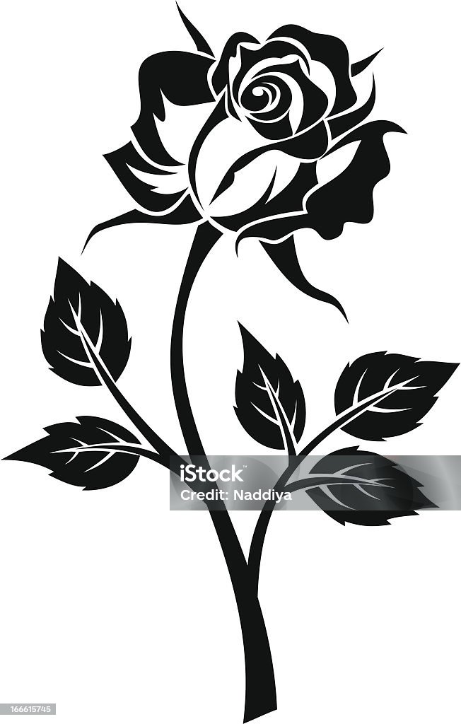 Black silhouette of rose with stem. Vector illustration. Vector illustration of  black silhouette of rose with stem and leaves on a white background. Plant Stem stock vector