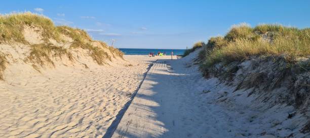 istock Aerial view of a sandy path leading to a beach surrounded by dunes 1666169947
