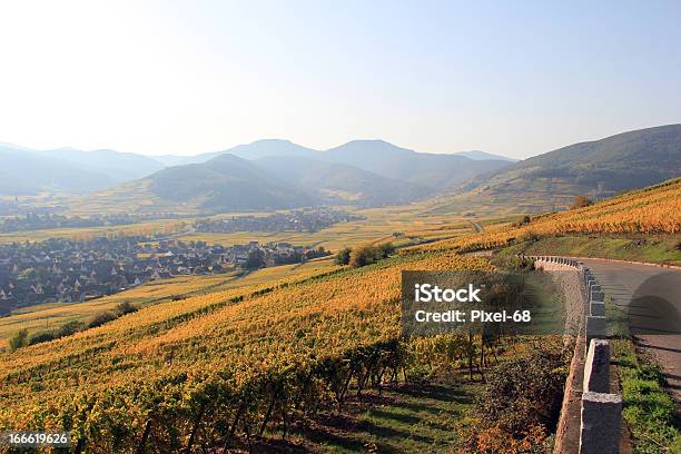 Den Weinbergen Des Elsass Stockfoto und mehr Bilder von Département Vosges - Frankreich - Département Vosges - Frankreich, Herbst, Ammerschwihr