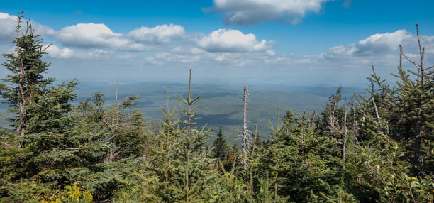 istock mountain landscape in the Canadian forest 1666202339