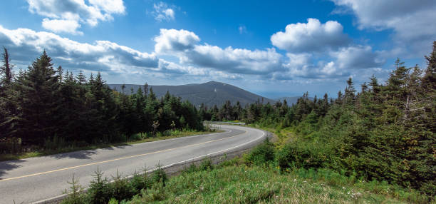 istock mountain landscape in the Canadian forest 1666207168