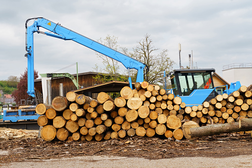 Lumber - tree logs sawn and prepared for loading, loading equipment stands nearby.