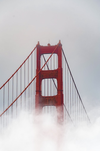 The Golden Gate Bridge often looks stunning when shrouded in fog, creating an iconic and mystical atmosphere. It's a captivating sight for many visitors and photographers.