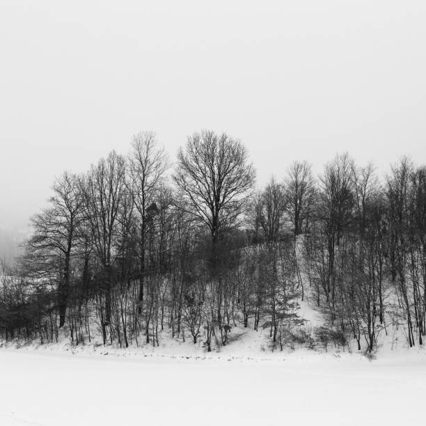 istock Winter landscape, with trees and hill covered by snow 1666242474