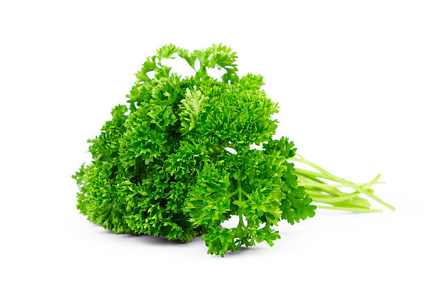 petersilie - parsley stock-fotos und bilder