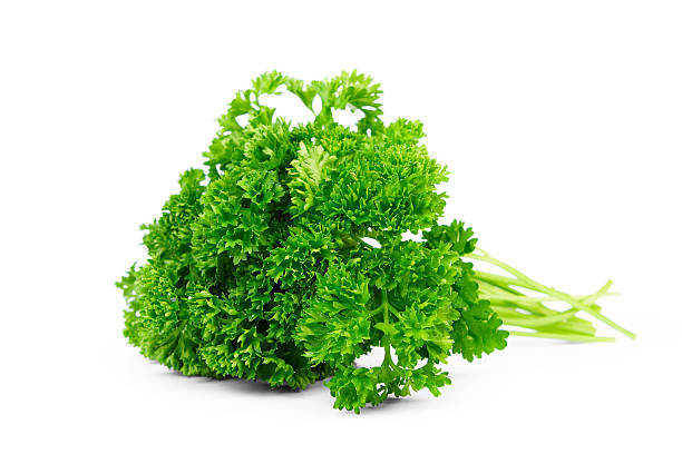 prezzemolo - parsley spice herb garnish foto e immagini stock