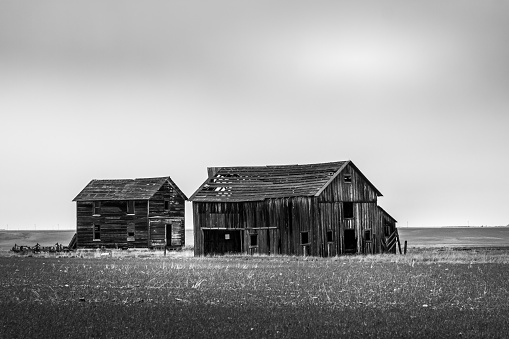 Old Barns in a field in Montana