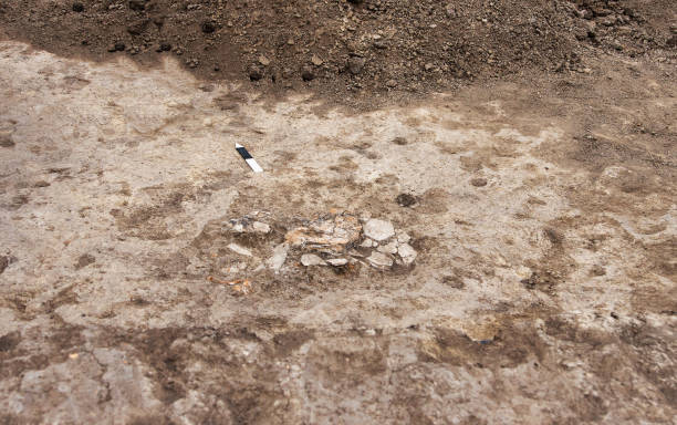 istock Archaeological excavations, archaeologists work, excavate an ancient clay artifact 1666275667