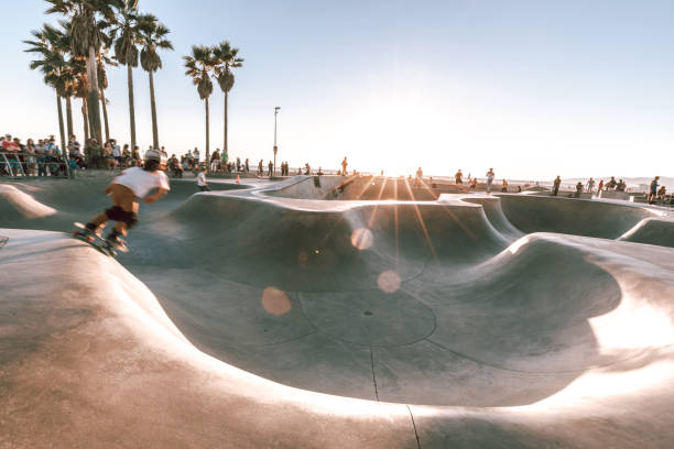 skatepark ao pôr do sol na praia - palm tree california city of los angeles venice beach - fotografias e filmes do acervo