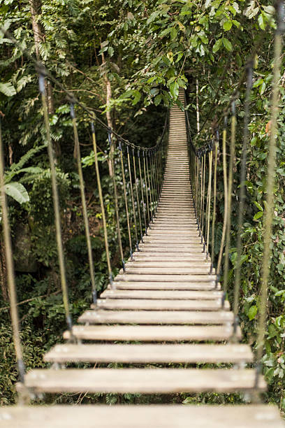 istock Rope bridge in the rainforest 166628610