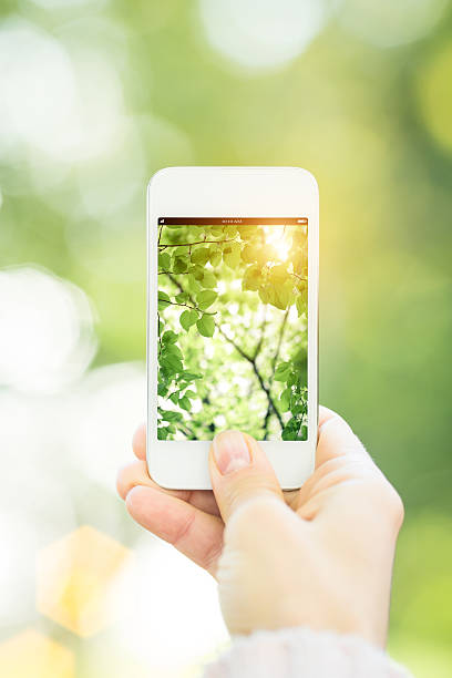 istock Woman holding smartphone 166629920