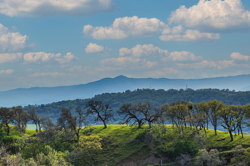 Views of Mt Umanhum via Joseph D Grant County Park, Santa Clara County, California, USA.