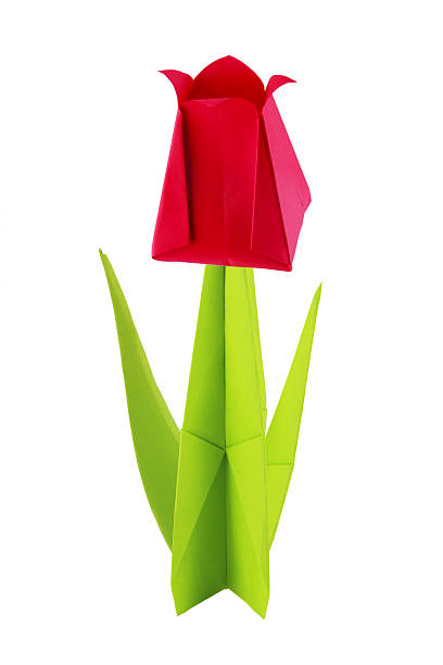 istock Origami paper tulip flower 166630277