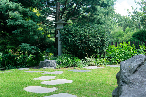 japanese garden landscape with stone lantern under pine tree