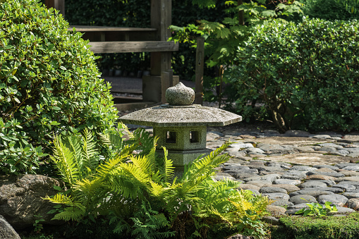 stone lantern amonf ferns in a Japanese garden