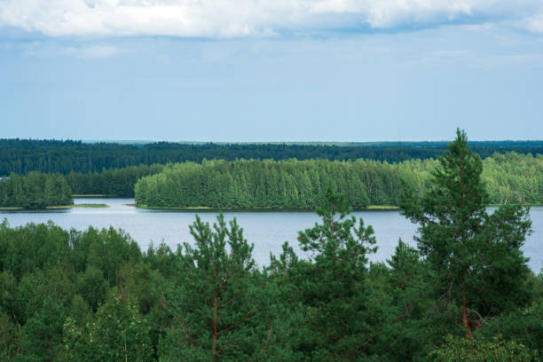 istock natural landscape with forest and lakes, aerial view 1666312266
