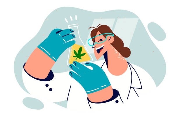 illustrazioni stock, clip art, cartoni animati e icone di tendenza di la donna tiene in mano una fiaschetta di olio di cannabis e sorride, conducendo ricerche di laboratorio sulle proprietà mediche - biologo