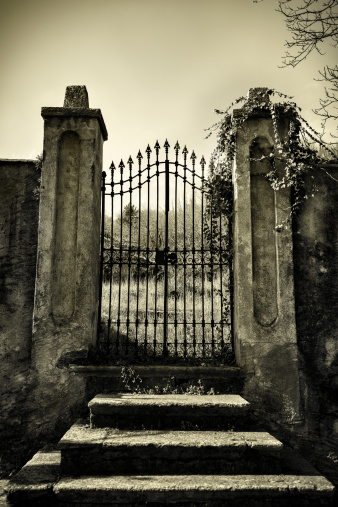 Scary antique gate monotone