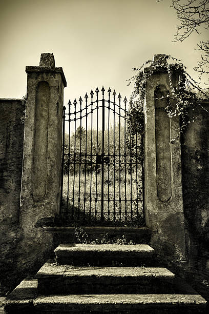 scary antigo monotone portão - iron gate imagens e fotografias de stock