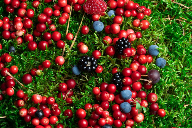 Berries fresh assorted mix overhead arrangement close up in studio on dark background.