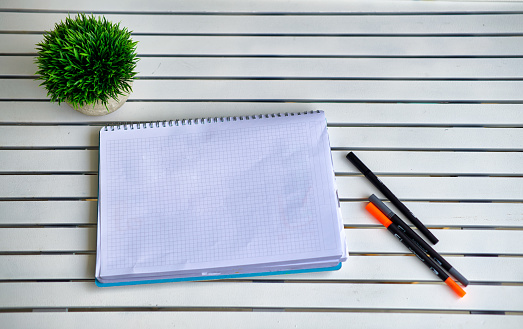 Notebook in blank open on a table. Three marker pens at the right and a green plant at the top left