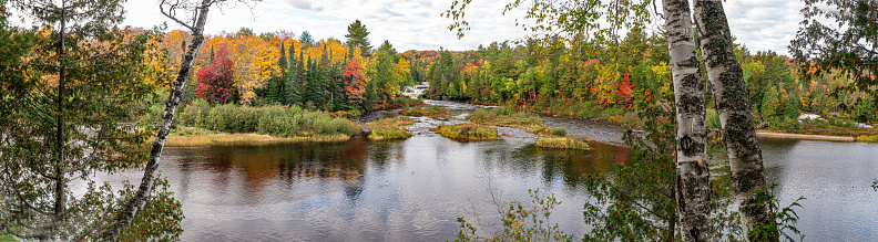 Lower Tahquamenon Falls, Tahquamenon Falls State Park, near Paradise, Michigan, amber color of the water is caused by tannin leached from trees. Autumn colors in the trees. Tahquamenon River. Very colorful water color.