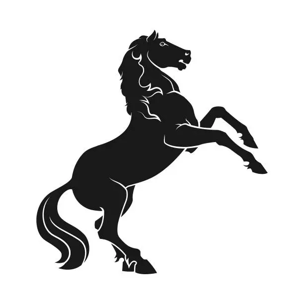 Vector illustration of Horse standing on hind legs - vector cut out silhouette