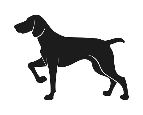 Stylized cutout silhouette of a hunting dog with raised paw - English or German Pointer, Labrador, Beagle or American Greyhound