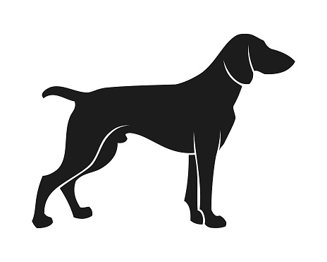 Stylized cutout silhouette of a hunting dog - English or German Pointer, Labrador, Beagle or American Greyhound