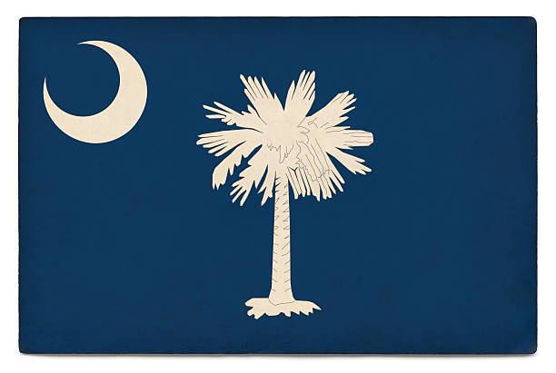 グランジアメリカ合衆国州旗に白：サウスキャロライナ - south carolina flag palm tree dirty ストックフォトと画像