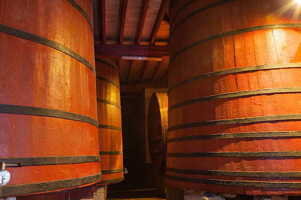 botti di vino - alcohol wine barrel la rioja foto e immagini stock