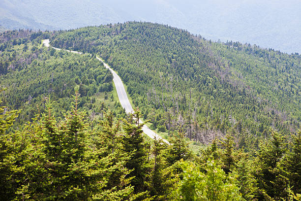 blue ridge parkway in der nähe der asheville, north carolina - mount mitchell stock-fotos und bilder