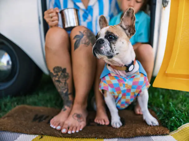 Asian mother and son enjoying camping with small French Bulldog at the trailer site. Both dressed in casual retro clothing. Camping trailer is vintage style from 1974. Exterior of camping site on a sunny day.