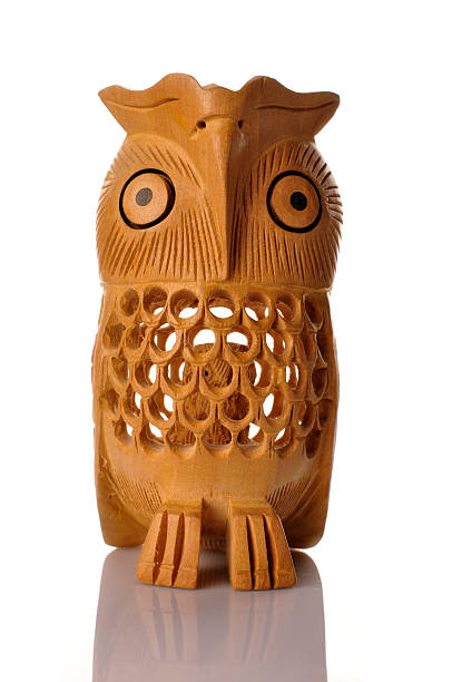 istock Wood owl isolated on white background 166640578