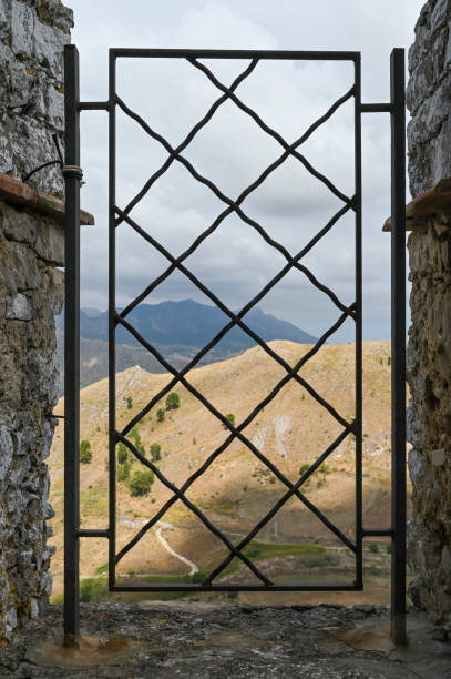 istock Griglia di protezione 1666484303