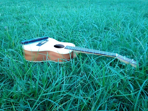 Two musical instruments on the ground. Ukulele and a harmonica(mouth organ). Both together creats a good soothing sound. And both of them are easy to carry out to anywhere. The photo was taken on a vacant crop field.