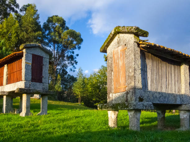 Espigueiros grain storage in Soajo  village, Peneda Geres National Park,   Portugal stock photo