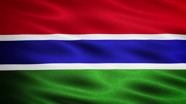 Natural Waving Fabric Texture Of The Gambia National Flag Graphic Background