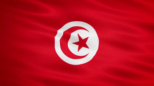 Natural Waving Fabric Texture Of Tunisia National Flag Graphic Background