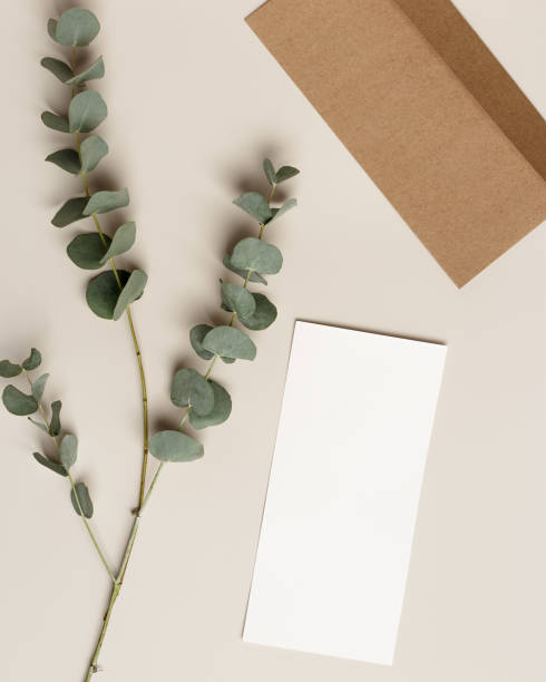 istock Blank paper card mock up and craft envelope with branches eucalyptus leaves on beige background. White empty invitation on table. Minimal modern lifestyle photo. Vertical Flat lay, top view 1666663223