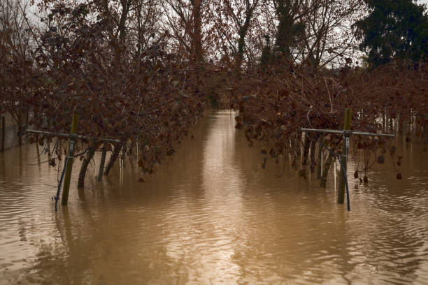 istock Debba Italy Flooding 1666684372