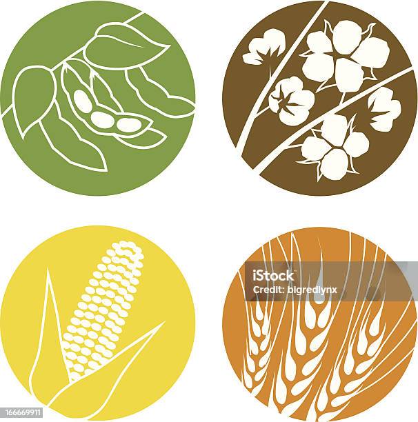Soybeans De Coton Et De Blé Maïs Vecteurs libres de droits et plus d'images vectorielles de Maïs - Culture - Maïs - Culture, Maïs, Graine de soja