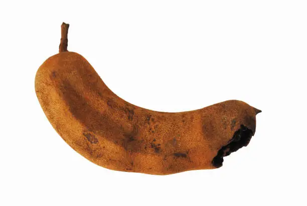 Photo of Isolated image of Tamarind fruit.