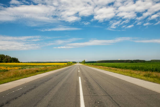 istock Asphalt highway among agricultural fields of corn and sunflowers. 1666700439
