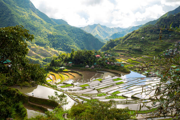 istock Batad rice terraces in Ifugao, Banaue, Philippines. 1666712777