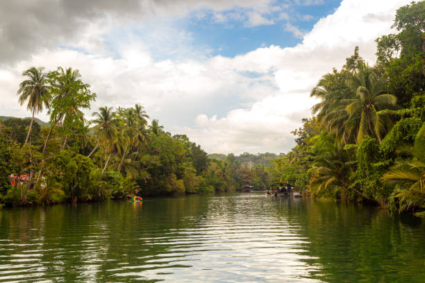 istock Tropical river with palm trees on both shores, Loboc river, Bohol, Philippines 1666713849