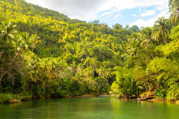 istock A small hut on tropical river with palm trees on both shores, Loboc 1666713853