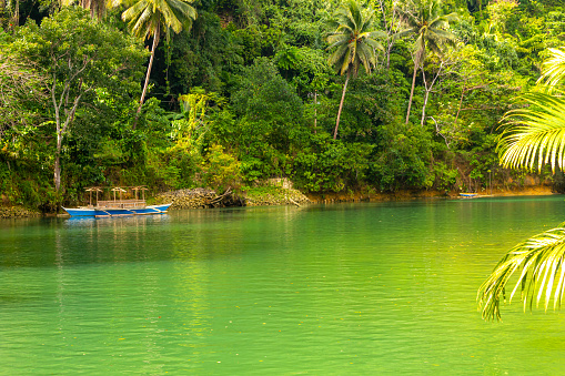 A small boat at jungle green river Loboc at Bohol island of Philippines, Green background, copy space for text