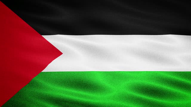 Natural Waving Fabric Texture Of Palestine National Flag Graphic Background